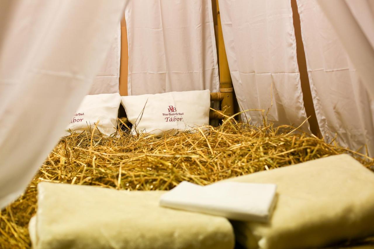 Lh Hotel Dvorak Tabor Congress & Wellness Εξωτερικό φωτογραφία